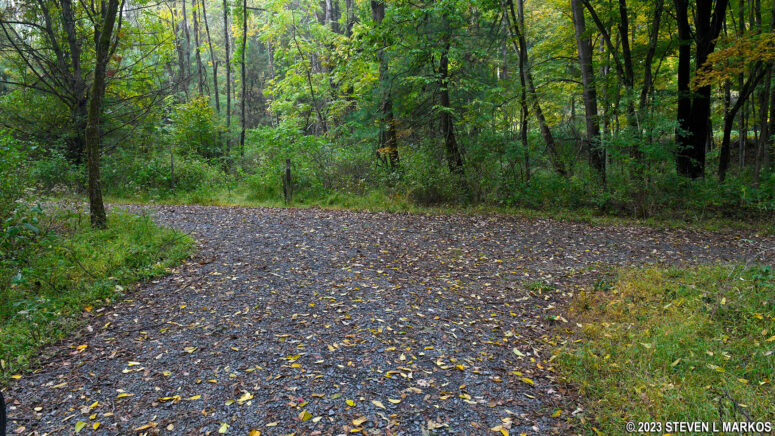 T-intersection on the McDade Trail just south of the bridge over Raymondskill Creek, Delaware Water Gap National Recreation Area