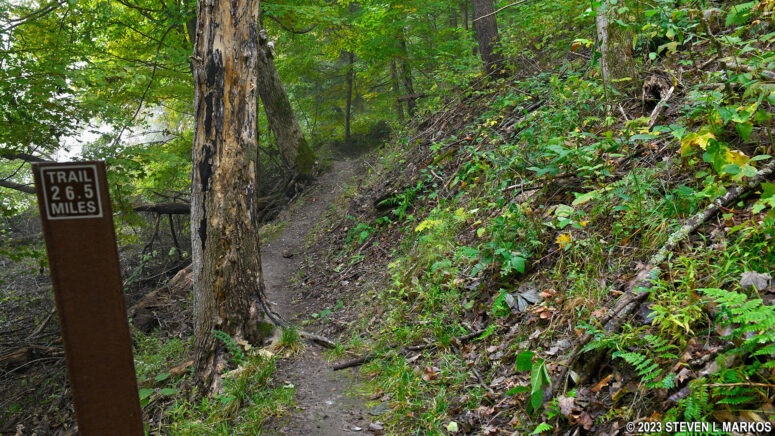 Very narrow section of the hikers-only section of the McDade Trail south of Pittman Orchard, Delaware Water Gap National Recreation Area