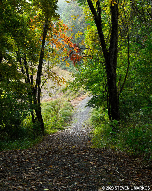 Steep downhill segment of the McDade Trail between Conashaugh and White Pines, Delaware Water Gap National Recreation Area