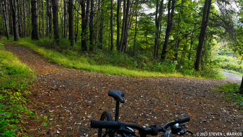 Unmarked intersection on the McDade Trail south of the Conashaugh parking area at Delaware Water Gap National Recreation Area