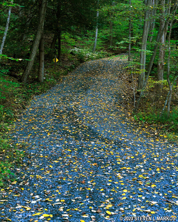 Steep hill on the McDade Trail as it follows along Community Drive near the Delaware Water Gap National Recreation Area Park Headquarters