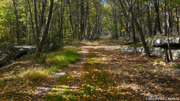 Appalachian Trail near Crater Lake in Delaware Water Gap National Recreation Area