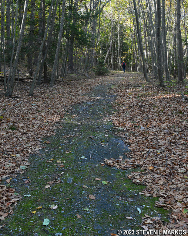 Patches of old asphalt appear periodically on the Outer Blue Mountain Lake Trail, Delaware Water Gap National Recreation Area