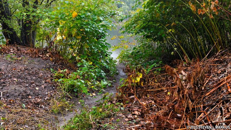 Path down to the Delaware River from the Caddoo Access Canoe Launch parking lot in Delaware Water Gap National Recreation Area