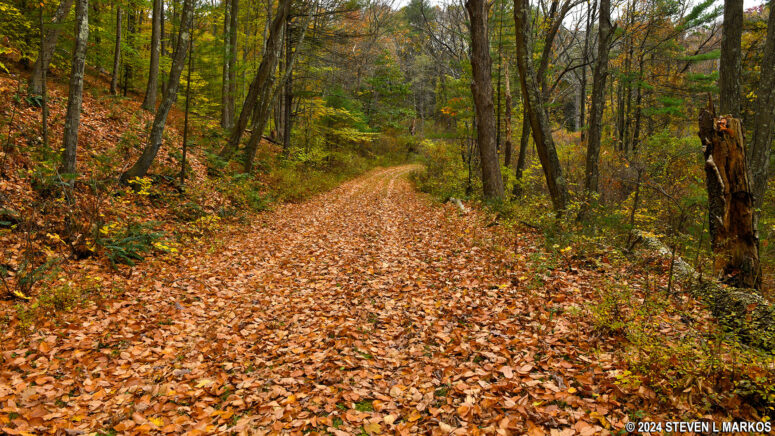 Typical hilly terrain on the east site of the Military Road Trail in Delaware Water Gap National Recreation Area