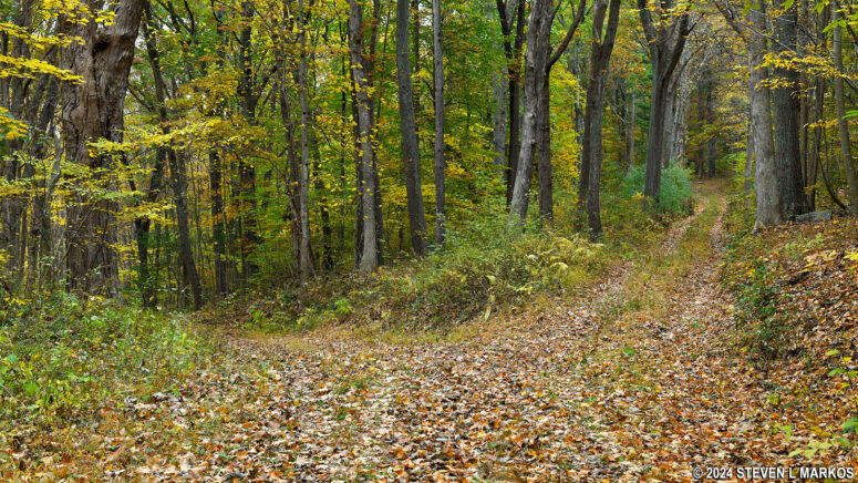 Intersection of the Military Road Trail and Ridge Road in Delaware Water Gap National Recreation Area