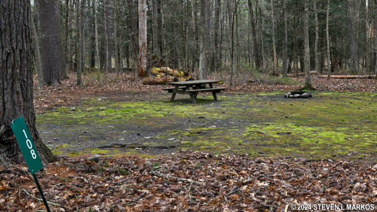 Forest campsite at Dingmans Campground in Delaware Water Gap National Recreation Area