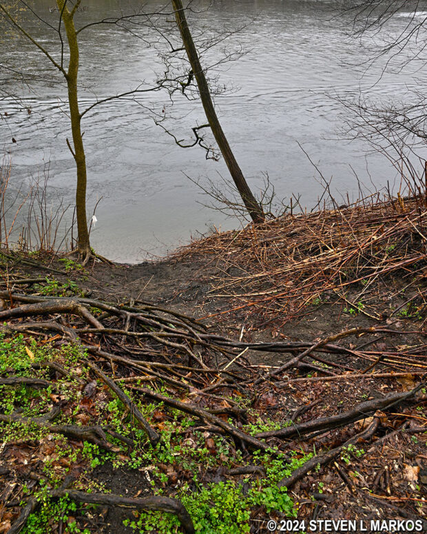 Wy-Hit-Tuk Park Canoe Launch on the Lower Delaware National Wild and Scenic River