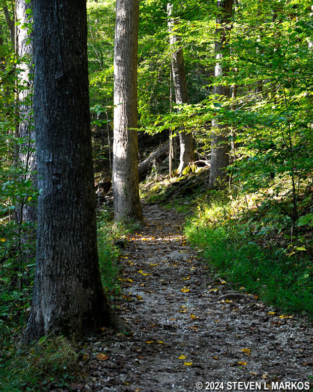 Typical terrain at the southern end of the Dixon Cave Trail at Mammoth Cave National Park