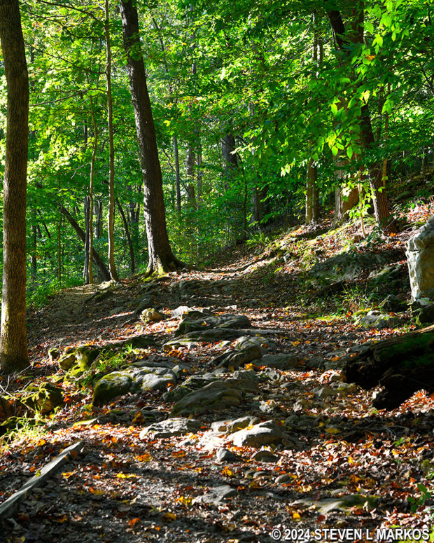 Dixon Cave Trail just south of Dixon Cave, Mammoth Cave National Park