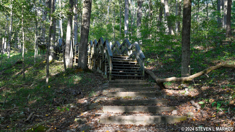 Connector trail between the Dixon Cave Trail and the Mammoth Cave Picnic Area