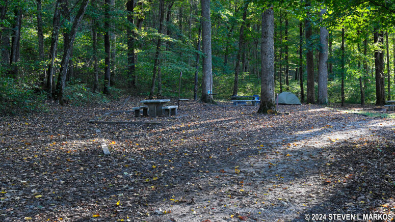 Campsites 10 and 11 at the Houchin Ferry Campground in Mammoth Cave National Park