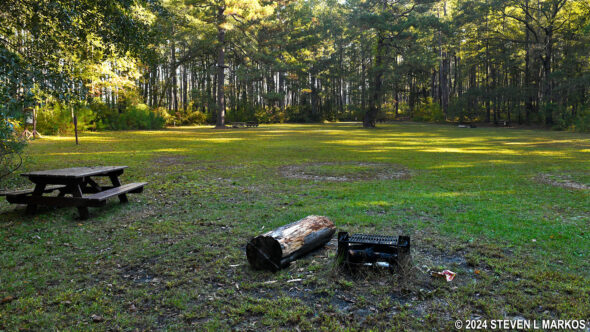 Bluff Campground at Congaree National Park