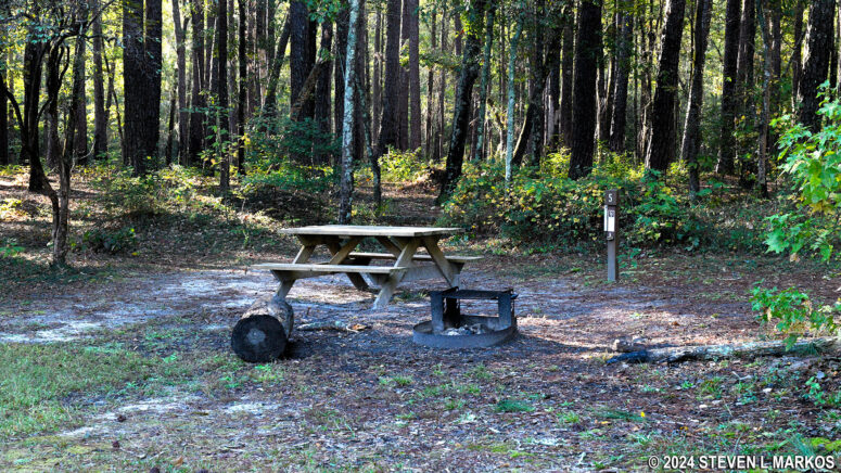 Campsite 5 at the Bluff Campground in Congaree National Park