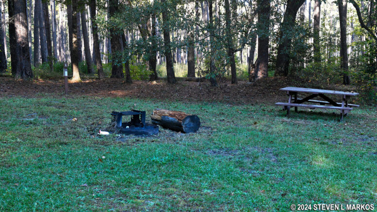 Campsite 6 at the Bluff Campground in Congaree National Park