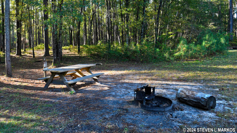 Campsite 4 at the Bluff Campground in Congaree National Park