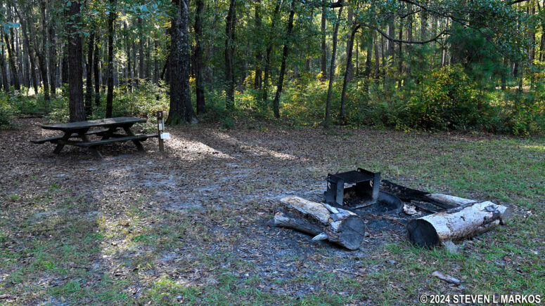 Campsite 3 at the Bluff Campground in Congaree National Park
