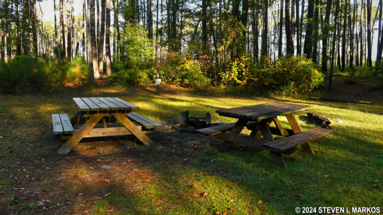 Campsite 1 at the Bluff Campground in Congaree National Park