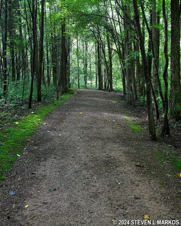 Typical terrain on the Boyhood Nature Trail at Lincoln Boyhood National Memorial