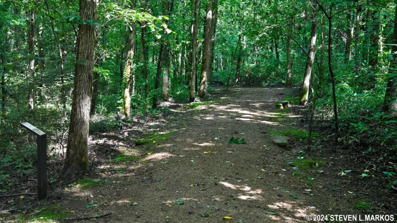 Wayside exhibits about plants and trees along the Boyhood Nature Trail at Lincoln Boyhood National Memorial