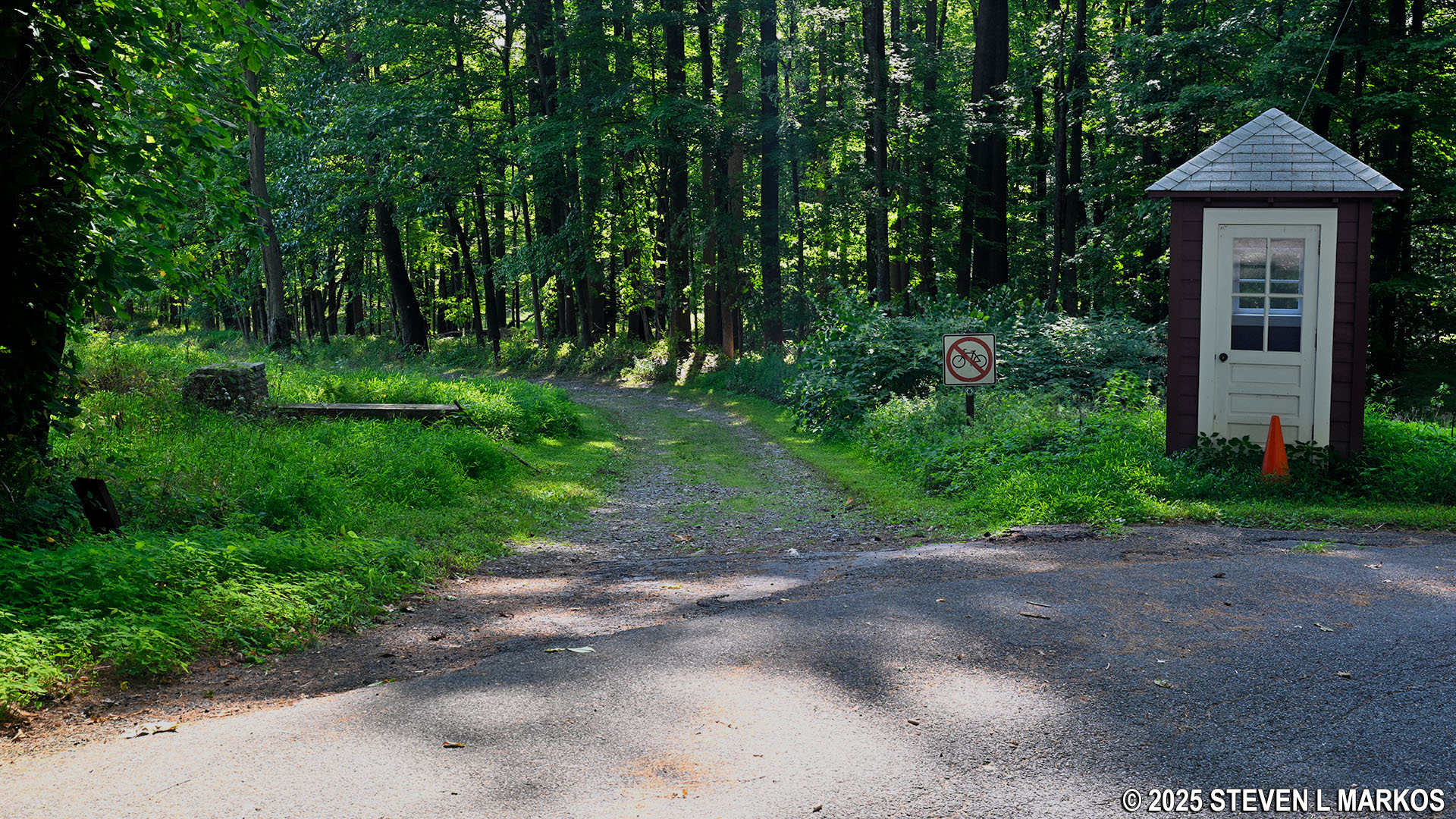 Home of Franklin D. Roosevelt National Historic Site | FOREST TRAIL