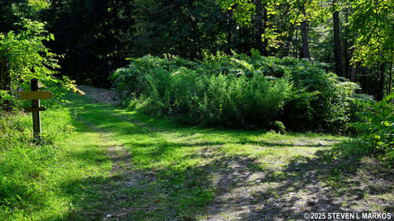 Eastern intersection of the Forest and Meadow trails at Home of Franklin D. Roosevelt National Historic Site