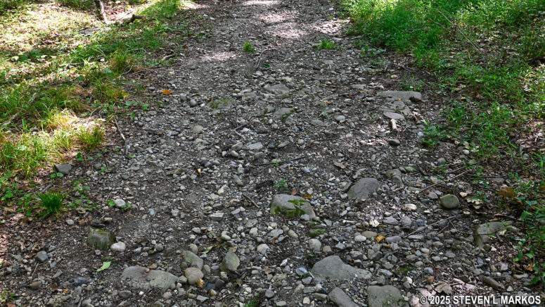 Example of the rock-strewn surface of the Meadow Trail at Home of Franklin D. Roosevelt National Historic Site