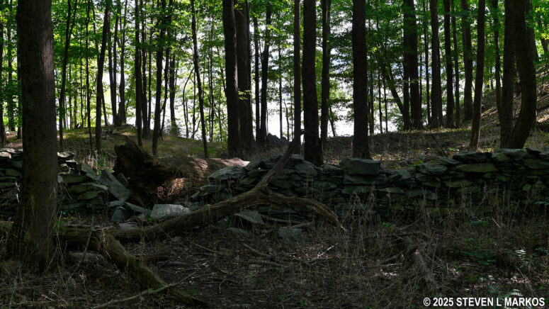 Glimpse of the Hudson River from the Meadow Trail at Home of Franklin D. Roosevelt National Historic Site