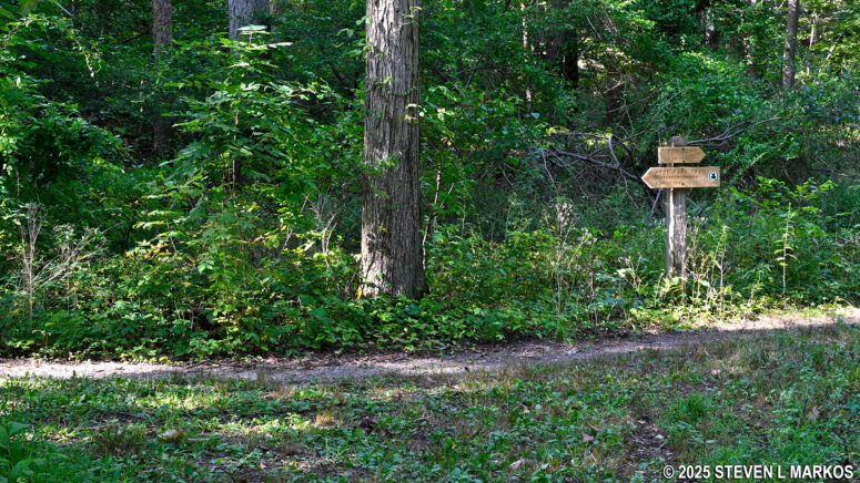 Western intersection of the Forest and Meadow trails at Home of Franklin D. Roosevelt National Historic Site