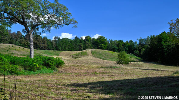 Meadow seen along the Meadow Trail at Home of Franklin D. Roosevelt National Historic Site