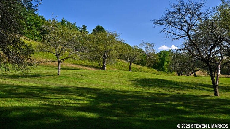 Orchard at the start of the Forest Trail at Home of Franklin D. Roosevelt National Historic Site
