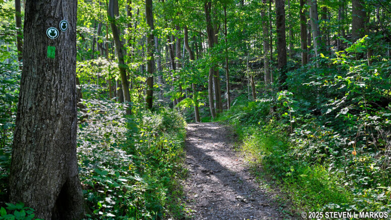 Blazes on the Forest / Hyde Park Trail at Home of Franklin D. Roosevelt National Historic Site