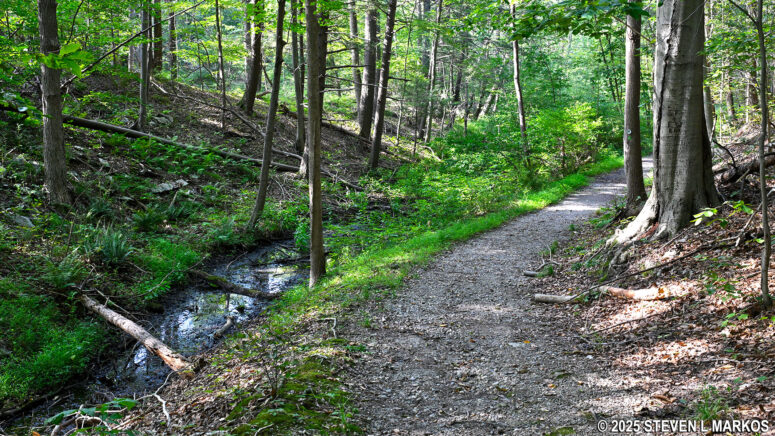 Creek along the Forest Trail just west of the western intersection with the Meadow Trail, Home of Franklin D. Roosevelt National Historic Site