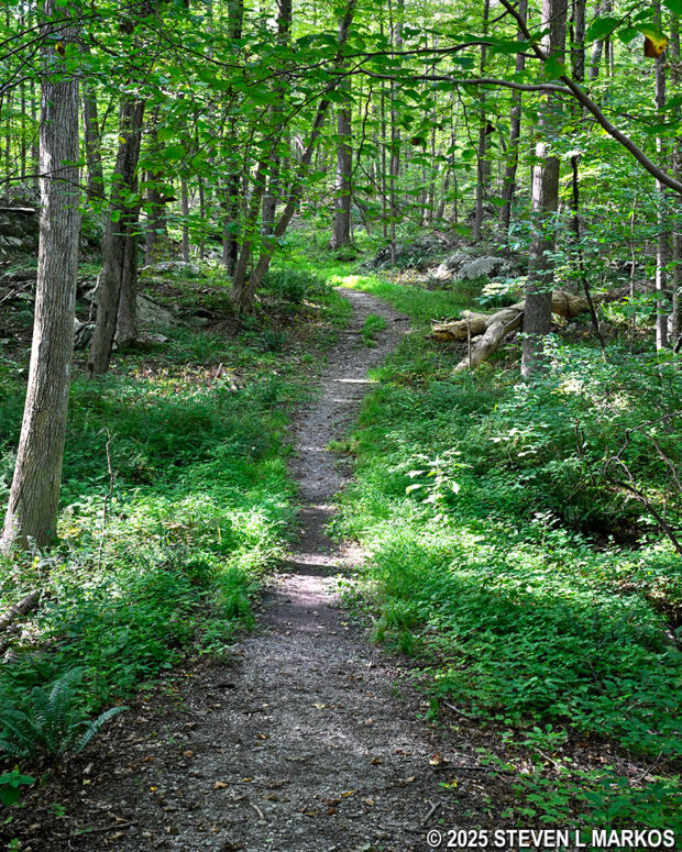 Typical terrain on the western half of the Forest Trail loop, Home of Franklin D. Roosevelt National Historic Site