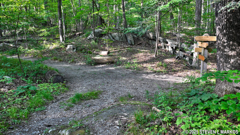 Split with the Hyde Park Trail on the loop portion of the Forest Trail, Home of Franklin D. Roosevelt National Historic Site