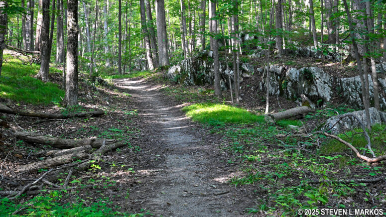 Typical terrain on the eastern half of the Forest Trail loop, Home of Franklin D. Roosevelt National Historic Site