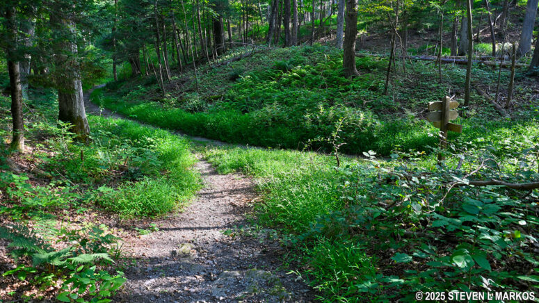 Back at the start of the loop on the Forest Trail at Home of Franklin D. Roosevelt National Historic Site