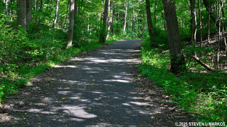 Typical hilly terrain of the Roosevelt Farm Lane at Home of Franklin D. Roosevelt National Historic Site