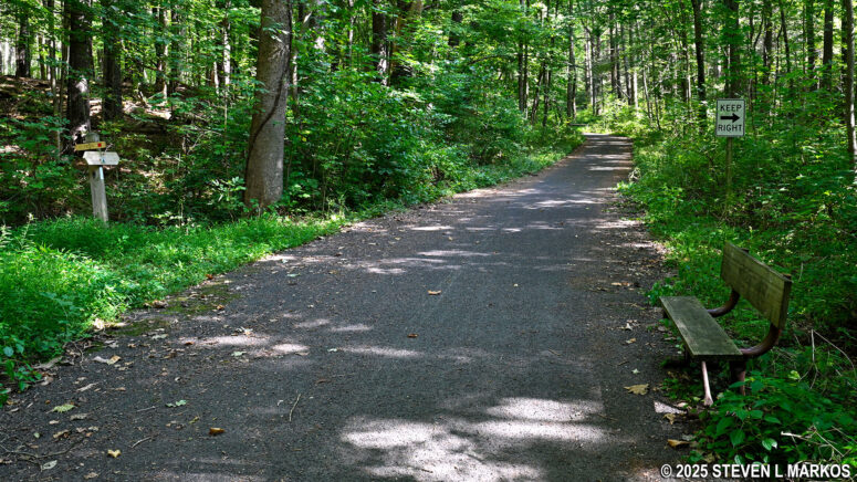 Intersection of the Roosevelt Farm Lane and the Bracken Pond Trail, Home of Franklin D. Roosevelt National Historic Site