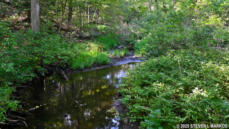 View of Marijte Kill from the Roosevelt Farm Lane at Home of Franklin D. Roosevelt National Historic Site