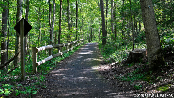 Roosevelt Farm Lane at Home of Franklin D. Roosevelt National Historic Site