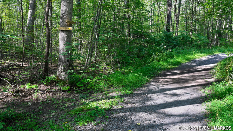Eastern intersection of the Roosevelt Farm Lane and the Newbold Trail, Home of Franklin D. Roosevelt National Historic Site