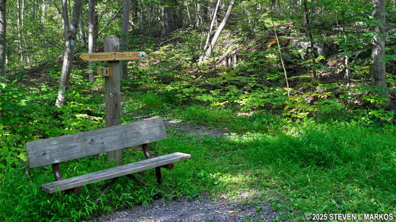 Intersection of the Roosevelt Farm Lane and the Bennett Trail, Home of Franklin D. Roosevelt National Historic Site