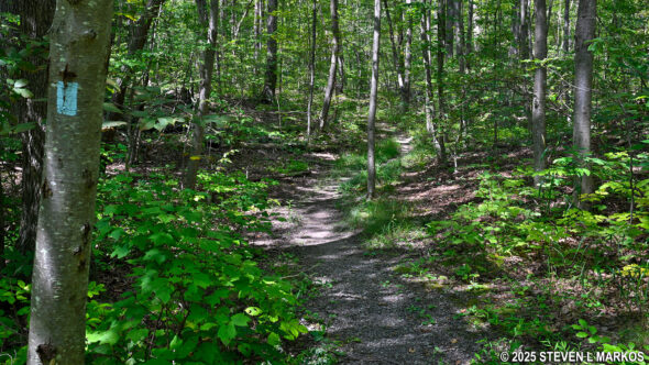 Bennett Trail at Home of Franklin D. Roosevelt National Historic Site