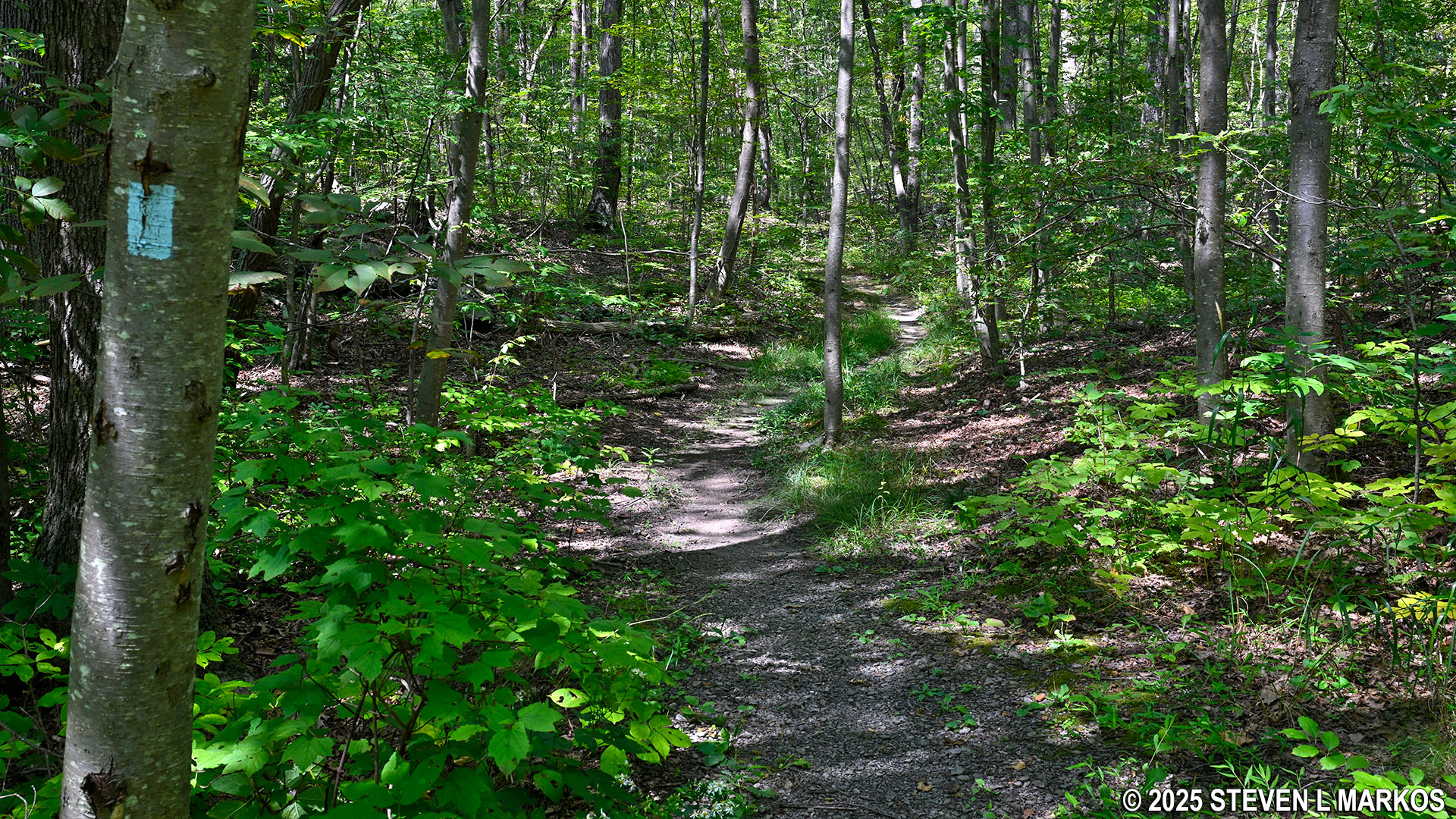 Home of Franklin D. Roosevelt National Historic Site | BENNETT TRAIL