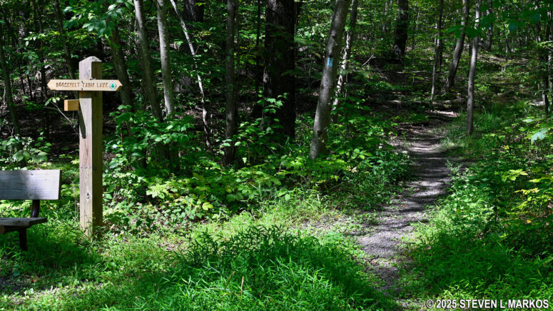 Intersection of the Bennett Trail and the Roosevelt Farm Lane, Home of Franklin D. Roosevelt National Historic Site