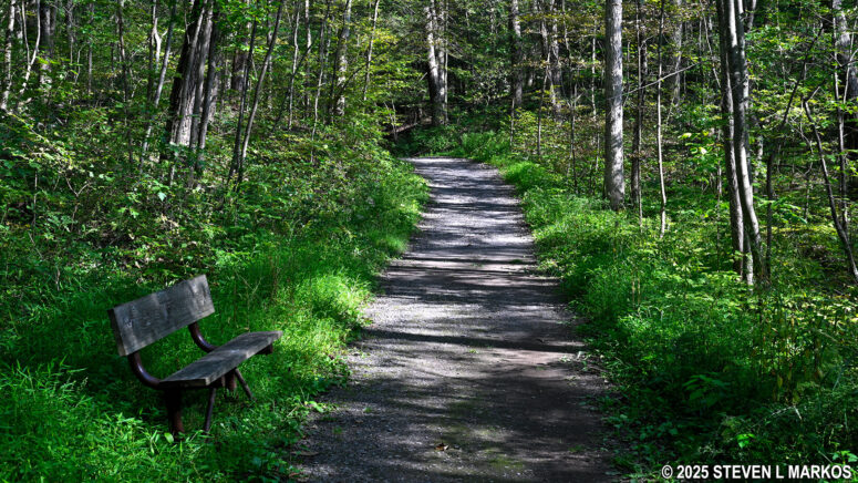 Typical terrain on the Roosevelt Farm Lane at Home of Franklin D. Roosevelt National Historic Site