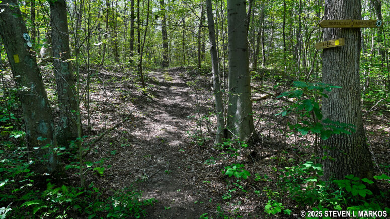 Eastern intersection of the Newbold Trail and Roosevelt Farm Lane, Home of Franklin D. Roosevelt National Historic Site