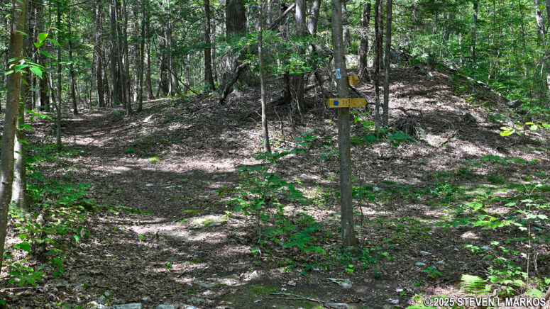 Intersection of the Newbold and Bennett trails at Home of Franklin D. Roosevelt National Historic Site