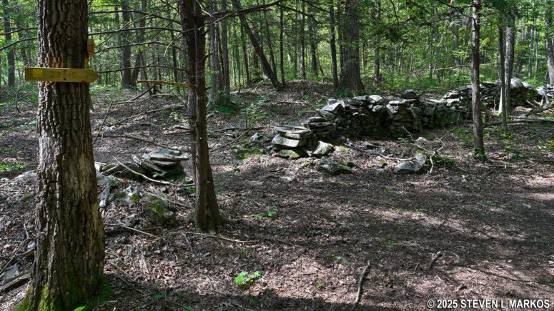 Intersection of the Newbold Trail and an un-mapped trail that cuts through a stone fence, Home of Franklin D. Roosevelt National Historic Site